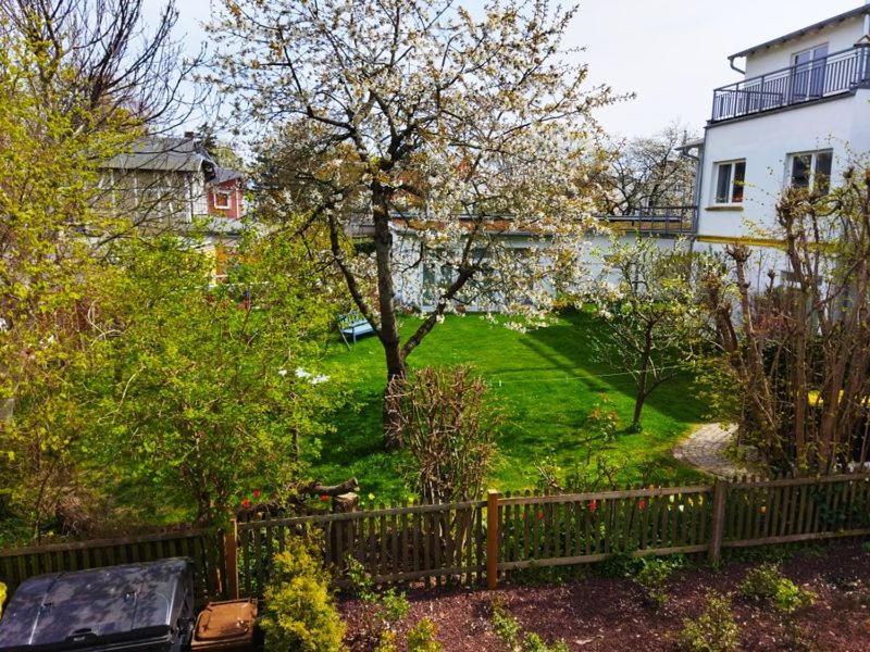 Waldesheim Goehren Apartment