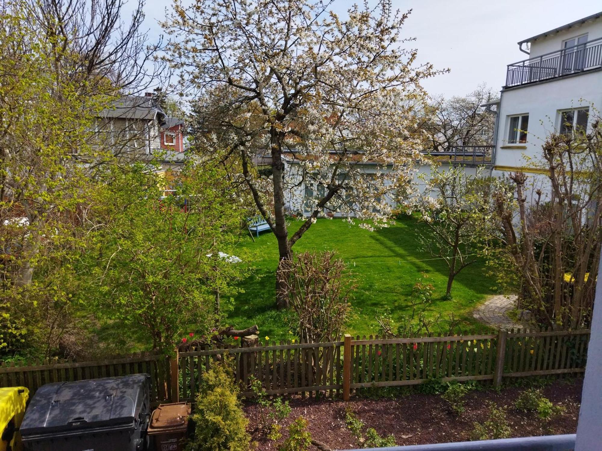 Waldesheim Goehren Apartment